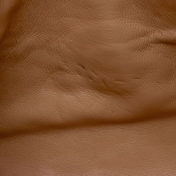 Gucci Calfskin Tiger Broadway Mini Shoulder Bag - Picture 10 of 15
